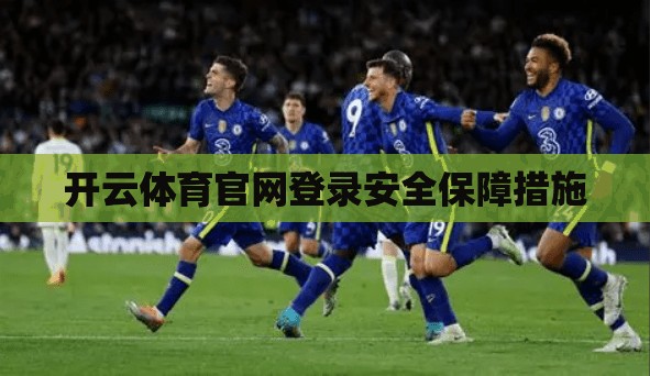 开云体育官网登录安全保障措施