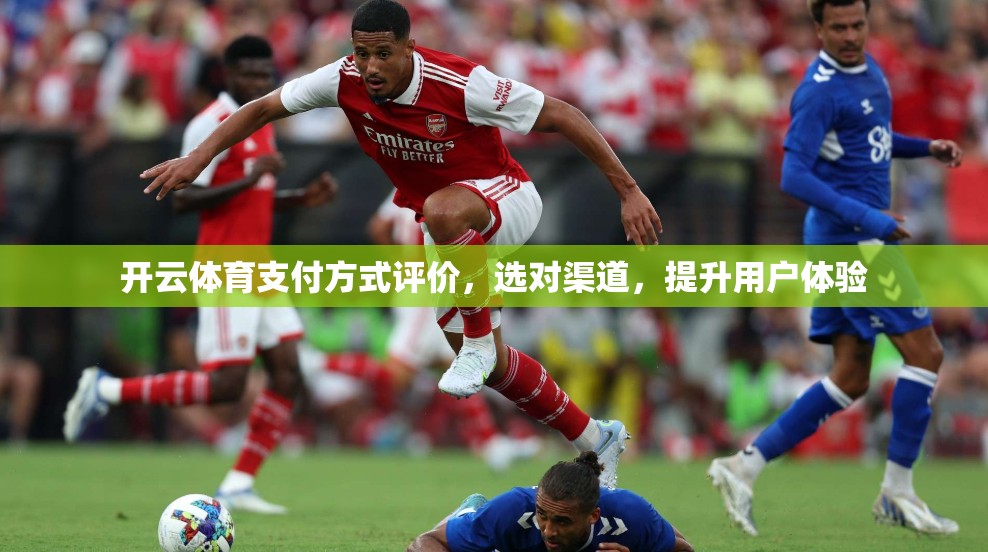 开云体育支付方式评价，选对渠道，提升用户体验