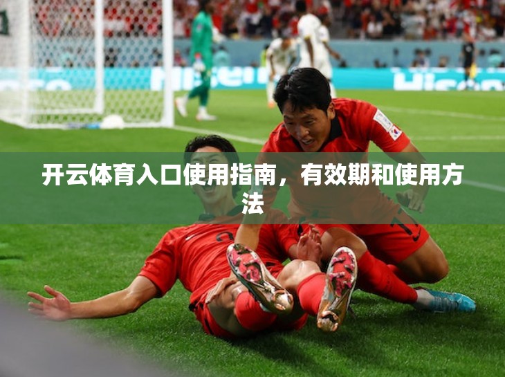 开云体育入口使用指南，有效期和使用方法
