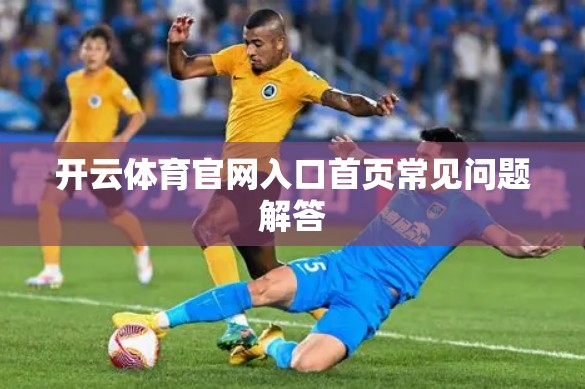 开云体育官网入口首页常见问题解答
